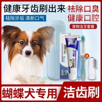 Butterfly Dog Special Juvenile Dog Tooth Scale Hand Fingertip Removal of foul odor to scale dog Toothbrush Toothpaste Suit Edible Generic