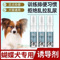 Butterfly Dog Special Dog Inducers Lure to Toilet Fluid Guide Urine Defecation Prevents Spray Pet Dog Dog With Training