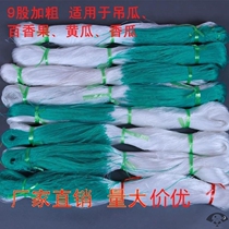 Climbing vine net hemp rope planting net summer vegetable bean horn net small pumpkin shelf net roof melon fruit bold agricultural