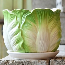 Cabbage-shaped flowerpot large green flower pot fleshy flowerpot large diameter beautiful flower and grass pot