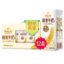 Yili grain multi-grain milk 200ml * 12 boxes of full box special nutrition grain student breakfast milk