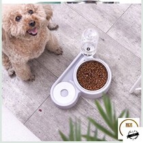 Pet dog bowl cat bowl rice bowl stainless steel food basin automatic drinking dog feeding double bowl cat dog cute anti-knock