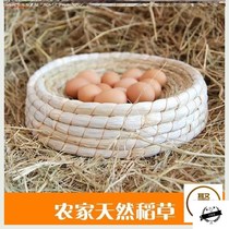 Chicken Nest Egg Cohorts Domestic Straw Eggs Poultry Raw Simple Cuddle Outdoor Warm Hens Large Hens hens Cock Ring