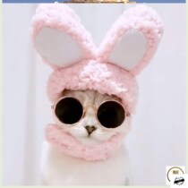 Cat bib straw hat pet supplies Little Devil hair hoop cross-up photo props cat hat headgear Cat 2