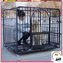 Dog Villa Haschic Kirky Dog Cage Subminiature Dog Interior Show Pets With Outdoor Pooch Large Dogs Cute