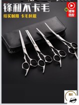 Pet kitten animal scissors special beauty scissors animal husbandry comb Satsuma bending wire removal kit straight scissors