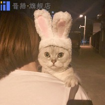 Knock cute rabbit cat headgear collar rabbit bib headgear photo funny props cat hat rabbit ears