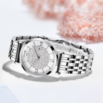 Wlistsh business watch womens watch fashion starry watch trend Lady watch quartz watch watch women