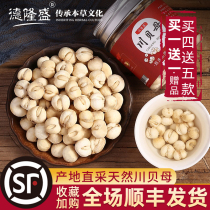 Buy 4 get 5 Sichuan authentic 50g selected fritillary fritillaria pine shell traditional Chinese medicine shellfish powder non -500 curt wild