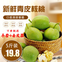 2021 fresh walnuts 5 pounds pregnant women hand-peeled raw walnuts thin skin is now removed green skin green skin spades wet walnuts