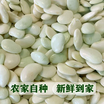 鲜白芸豆-鲜白芸豆促销价格、鲜白芸豆品牌- 淘宝