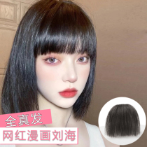 Real hair bangs wig film air bangs wig female natural incognito net red lisa comic qi bangs reissue film