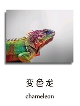 199 animal sounds musical instruments national anthem cards caterpillars WiFi reading Jingtu Kwai Kwai Dad cards