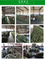 Defense Star Avoi camouflage net Real person CS decorative net mountain Greening anti-sunshade net outdoor camouflage anti-counterfeiting net