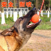 Dog toy bouncing ball resistant medium large dog horse dog dog German training ball training ball dog ball pet supplies dog ball