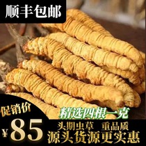 2021 authentic Tibet Nagqu head period Cordyceps sinensis 1 gram 4-5 roots Cordyceps new dry goods non-Qinghai Yushu