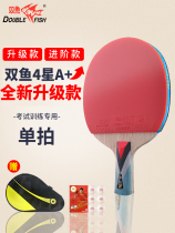 Red Double Happiness Pisces table tennis racket four-star single shot 1 set 4-star professional horizontal racket pong racket 5 stars