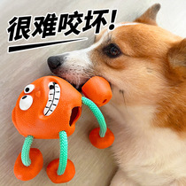Pet dog toy Boredom artifact Sound dog training Interactive bite-resistant molar rubber puppy Corgi Teddy supplies