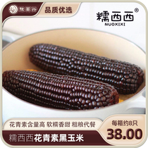 Nuo West anthocyanin black corn Xinzhou Nuoyu pollution-free vacuum packaging Q bomb soft glutinous grain replacement meal