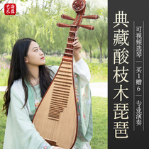 Yihai acid branch wood Chicken wing wood Pipa musical instrument Beginner introduction Children adult professional examination Playing pipa piano