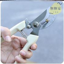 Stainless steel fruit pruning shears branch picking flowers and wood scissors garden fruit trees flower branches grafting gardening scissors tools