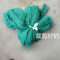 Fruit tree bird net net breeding net pheasant net poultry chicken nylon net fence net fence net
