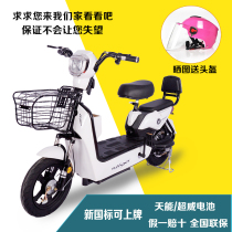 New national standard electric car small car battery car electric bicycle small electric car Lady