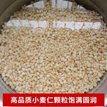 5 Jin Henan Fresh Wheat Kernel Peeled Wheat Grain Peeling Wheat Rinmi Coarse Grain Cooked Porridge Used in Five Valley