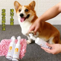 Pooch washing foot foam Kit Kicteddy free of washout pets Kirky dog washing foot liquid claw cleaning