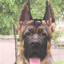 Demu ear ear special shepherd dog ear dog supplies Adult dog summer dog stickers new artifact bracket
