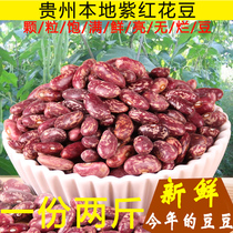 2021 Guizhou HuaBean New Bean 2 Jin Purple Flower Kidney Bean Rice Big Flower Bean Rice Dry Bean Dry Bean Wholesale