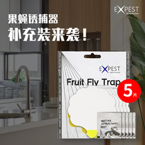 EXPEST Fruit fly trap refill household fly killer artifact Sweep light fruit fly sticker strong sticky