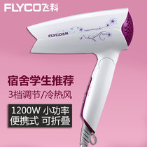Electric hair dryer household hair salon Barber shop size power 2000 Watts negative ion hair care dormitory student air duct