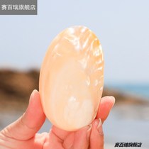 Natural small conch shell stone pearl shellfish home decoration crafts big conch shell seaside souvenir ornaments