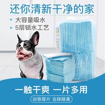 Dog induced diaper pad Teddy special diaper deodorant dog diaper pet supplies disposable absorbent pad diaper