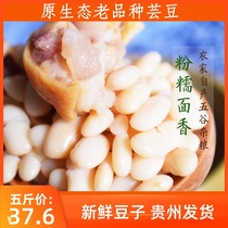 Guizhou specialty small white kidney beans farmhouse self-produced fresh small white beans coarse grains dietary fiber grains five kg pack
