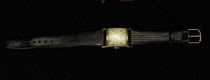 ELGIN 19J object-