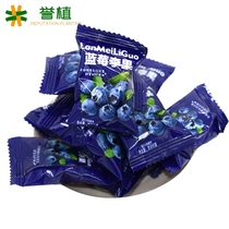 Blueberry Li Guo Yili Packaging Fruit China Jieyang City Guangdong Province