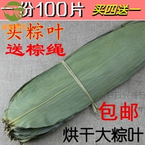 Large fresh rice dumplings wide and large zongcotyledons oversized leaves free mail non-Reed leaves non-Reed leaves