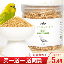 Bird grain new yellow millet small and medium-sized parrot feed tiger skin Xuanfeng Peony with Shell millet food grain 800ml