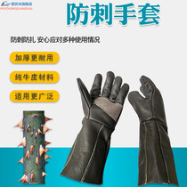Gloves Stab Anti-tie Cut Protection Labor Protection Garden Gardening Cactus Ball Rose Pruning Pepper Chestnut Thick Left Hand