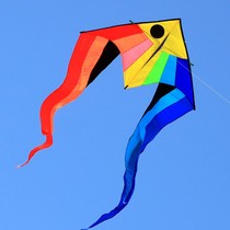 Weifang rainbow fish kite large adult high-grade kite children's new breeze easy flying kite wheel