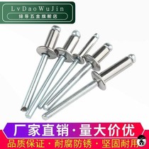 304 stainless steel rivets blind rivets 5mm decorative nail round head pumping nail nail M3 2 M4