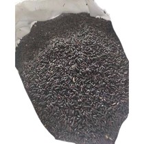 Farmhouse black sticky rice 5 catty new rice authentic self-produced germ rice purple rice wine making blood glutinous rice