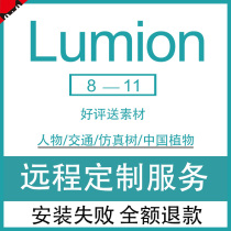 Lumion11 10Pro 10 3 9 8 software Chinese extension plant installation package remote installation send material