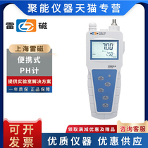 Shanghai Lei Magnetic PHBJ-260 portable pH meter fast laboratory pH value automatic temperature compensation