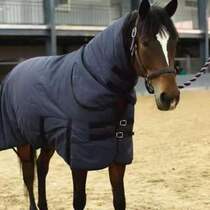 Winter cotton windproof horsecoat riding training equipment cold protection foal suit with bib neck cold conjoined cold resistant horse coat