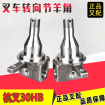 Forklift horn shaft steering knuckle 30DH-210001 steering axle head rear axle suitable for Hangzhou fork 30HB forklift