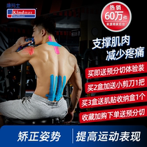 Comas Muscle Sticker Sports Bandage Professional Muscle Sticker Muscle Tape Muscle Sore Tape Knee