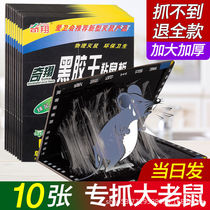 Super sticky mouse cardboard strong mouse glue stickers 10 sheets drive mouse cage to catch and catch mice home a nest